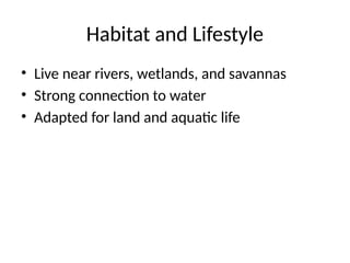 Habitat and Lifestyle
• Live near rivers, wetlands, and savannas
• Strong connection to water
• Adapted for land and aquatic life
 