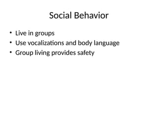 Social Behavior
• Live in groups
• Use vocalizations and body language
• Group living provides safety
 