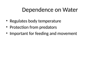 Dependence on Water
• Regulates body temperature
• Protection from predators
• Important for feeding and movement
 