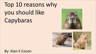 Top 10 reasons why
you should like
Capybaras
By: Xian-li Cocon
 