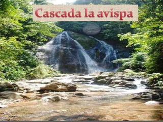 Cascada la avispa 