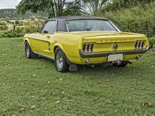 Yellow Mustang 