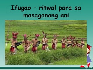 Ifugao – ritwal para sa
    masaganang ani
 