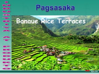 Banaue Rice Terraces
 