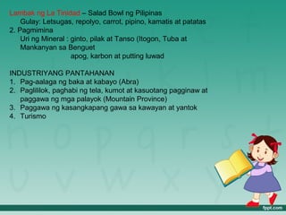Lambak ng La Tinidad – Salad Bowl ng Pilipinas
    Gulay: Letsugas, repolyo, carrot, pipino, kamatis at patatas
2. Pagmimina
    Uri ng Mineral : ginto, pilak at Tanso (Itogon, Tuba at
    Mankanyan sa Benguet
                     apog, karbon at putting luwad

INDUSTRIYANG PANTAHANAN
1. Pag-aalaga ng baka at kabayo (Abra)
2. Paglililok, paghabi ng tela, kumot at kasuotang pagginaw at
   paggawa ng mga palayok (Mountain Province)
3. Paggawa ng kasangkapang gawa sa kawayan at yantok
4. Turismo
 