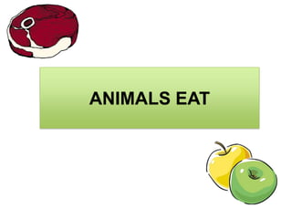 ANIMALS EAT

 