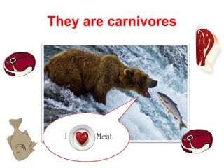 They are carnivores

 