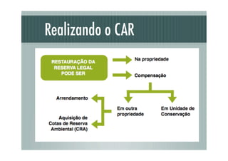 Realizando o CAR
 