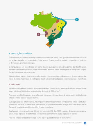 Cadastro Ambiental Rural | Módulo 2 10
5. VEGETAÇÃO LITORÂNEA
É uma formação presente ao longo do litoral brasileiro que abriga uma grande biodiversidade. Situa-se
em regiões alagadas e com alto índice de sal no solo. Sua vegetação é variada, composta principalmen-
te de mangue, gramas e restingas.
O mangue pode ser considerado um bioma à parte que aparece em vários pontos do litoral tropical.
Apresenta elevada importância para o ecossistema marinho, sendo uma espécie de abrigo para a repro-
dução dos peixes e outros animais.
Já as restingas são um tipo de vegetação rasteira, que se adapta ao solo arenoso e rico em sal das pla-
nícies do litoral. Nas matas de restinga do Brasil, habitam vários tipos de aves migratórias e mamíferos.
6. PANTANAL
Situado no sul de Mato Grosso e no noroeste de Mato Grosso do Sul, além de alcançar o norte do Para-
guai e o leste da Bolívia, tem uma extensão de cerca de 250 mil km².
É cortado pelo Rio Paraguai e seus afluentes, formando extensas áreas de alagamento, facilitado pelo
fato de o relevo possuir poucos morros.
Sua vegetação não é homogênea, há um padrão diferente de flora de acordo com o solo e a altitude, o
que a torna bastante rica e variada. Apesar disso, no pantanal brasileiro, a vegetação característica é de
Savana. A vegetação aquática também é muito importante.
Sua fauna é extremamente rica. Abriga, por exemplo, 650 das 1800 espécies de aves registradas no
Brasil, 1.100 espécies de borboletas, 124 espécies de mamíferos e 263 espécies de peixes.
Pela sua beleza, variedade e riqueza, é uma região que se beneficia do ecoturismo.
5
6
 