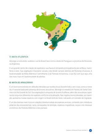 Cadastro Ambiental Rural | Módulo 2 11
7. MATA ATLÂNTICA
Abrange a costa leste, sudeste e sul do Brasil, bem como o leste do Paraguai e a província de Misiones,
na Argentina.
É um grande centro de criação de espécies e sua fauna é composta principalmente por anfíbios, mamí-
feros e aves. Sua vegetação é bastante variada, indo desde campos abertos até florestas chuvosas. A
biodiversidade da Mata Atlântica é semelhante à da Floresta Amazônica, o que faz com que seja uma
das mais ricas em biodiversidade de plantas.
8. MATA DE ARAUCÁRIAS
É um bioma encontrado em altitudes elevadas que recebe chuva durante todo o ano e que, como o nome
diz, é caracterizada pela presença de árvores araucárias. Abrange os estados do Paraná, de Santa Cata-
rina e do Rio Grande do Sul. Sua vegetação é composta de árvores frutíferas, além das araucárias e apre-
senta conjuntos diferentes de espécies conforme a localização. Nas regiões menos elevadas, por exem-
plo, apresenta muitas espécies com origem no Brasil central e leste, indicando um corredor de migração.
É um dos biomas mais ricos em relação à biodiversidade de espécies animais, contando com indivíduos
próprios dos ecossistemas, raros, ameaçados de extinção, espécies migratórias, caças e de interesse
econômico da Floresta Atlântica e dos pampas.
7
8
 