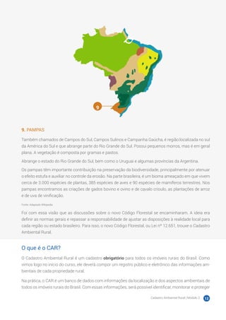 Cadastro Ambiental Rural | Módulo 2 12
9. PAMPAS
Também chamados de Campos do Sul, Campos Sulinos e Campanha Gaúcha, é região localizada no sul
da América do Sul e que abrange parte do Rio Grande do Sul. Possui pequenos morros, mas é em geral
plana. A vegetação é composta por gramas e pastos.
Abrange o estado do Rio Grande do Sul, bem como o Uruguai e algumas províncias da Argentina.
Os pampas têm importante contribuição na preservação da biodiversidade, principalmente por atenuar
o efeito estufa e auxiliar no controle da erosão. Na parte brasileira, é um bioma ameaçado em que vivem
cerca de 3.000 espécies de plantas, 385 espécies de aves e 90 espécies de mamíferos terrestres. Nos
pampas encontramos as criações de gados bovino e ovino e de cavalo crioulo, as plantações de arroz
e de uva de vinificação.
Fonte: Adaptado Wikipedia
Foi com essa visão que as discussões sobre o novo Código Florestal se encaminharam. A ideia era
definir as normas gerais e repassar a responsabilidade de ajustar as disposições à realidade local para
cada região ou estado brasileiro. Para isso, o novo Código Florestal, ou Lei nº 12.651, trouxe o Cadastro
Ambiental Rural.
O que é o CAR?
O Cadastro Ambiental Rural é um cadastro obrigatório para todos os imóveis rurais do Brasil. Como
vimos logo no início do curso, ele deverá compor um registro público e eletrônico das informações am-
bientais de cada propriedade rural.
Na prática, o CAR é um banco de dados com informações da localização e dos aspectos ambientais de
todos os imóveis rurais do Brasil. Com essas informações, será possível identificar, monitorar e proteger
9
 