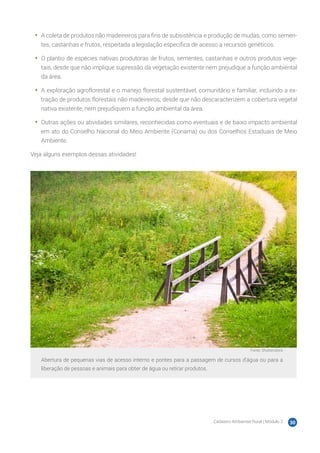 Cadastro Ambiental Rural | Módulo 2 30
•	 A coleta de produtos não madeireiros para fins de subsistência e produção de mudas, como semen-
tes, castanhas e frutos, respeitada a legislação específica de acesso a recursos genéticos.
•	 O plantio de espécies nativas produtoras de frutos, sementes, castanhas e outros produtos vege-
tais, desde que não implique supressão da vegetação existente nem prejudique a função ambiental
da área.
•	 A exploração agroflorestal e o manejo florestal sustentável, comunitário e familiar, incluindo a ex-
tração de produtos florestais não madeireiros, desde que não descaracterizem a cobertura vegetal
nativa existente, nem prejudiquem a função ambiental da área.
•	 Outras ações ou atividades similares, reconhecidas como eventuais e de baixo impacto ambiental
em ato do Conselho Nacional do Meio Ambiente (Conama) ou dos Conselhos Estaduais de Meio
Ambiente.
Veja alguns exemplos dessas atividades!
Fonte: Shutterstock
Abertura de pequenas vias de acesso interno e pontes para a passagem de cursos d’água ou para a
liberação de pessoas e animais para obter de água ou retirar produtos.
 