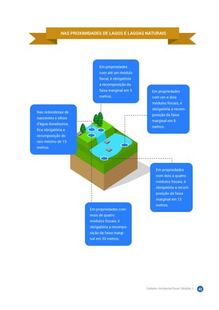 Cadastro Ambiental Rural | Módulo 2 45
 