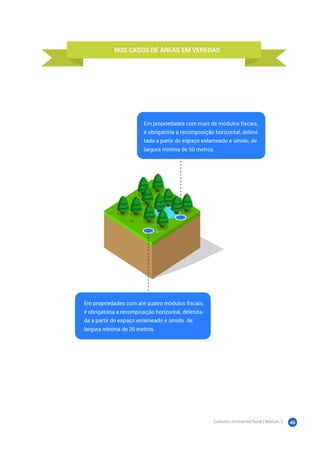 Cadastro Ambiental Rural | Módulo 2 46
 