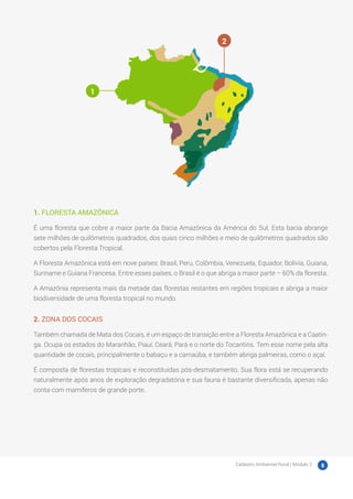 Cadastro Ambiental Rural | Módulo 2 8
1. FLORESTA AMAZÔNICA
É uma floresta que cobre a maior parte da Bacia Amazônica da América do Sul. Esta bacia abrange
sete milhões de quilômetros quadrados, dos quais cinco milhões e meio de quilômetros quadrados são
cobertos pela Floresta Tropical.
A Floresta Amazônica está em nove países: Brasil, Peru, Colômbia, Venezuela, Equador, Bolívia, Guiana,
Suriname e Guiana Francesa. Entre esses países, o Brasil é o que abriga a maior parte – 60% da floresta.
A Amazônia representa mais da metade das florestas restantes em regiões tropicais e abriga a maior
biodiversidade de uma floresta tropical no mundo.
2. ZONA DOS COCAIS
Também chamada de Mata dos Cocais, é um espaço de transição entre a Floresta Amazônica e a Caatin-
ga. Ocupa os estados do Maranhão, Piauí, Ceará, Pará e o norte do Tocantins. Tem esse nome pela alta
quantidade de cocais, principalmente o babaçu e a carnaúba, e também abriga palmeiras, como o açaí.
É composta de florestas tropicais e reconstituídas pós-desmatamento. Sua flora está se recuperando
naturalmente após anos de exploração degradatória e sua fauna é bastante diversificada, apenas não
conta com mamíferos de grande porte.
1
2
 