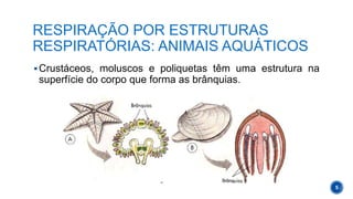 Respiração nos animais e respiração humana | PPTX