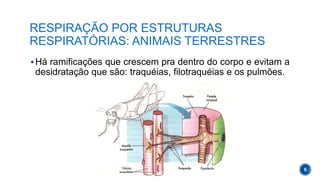 Respiração nos animais e respiração humana | PPTX