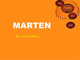 MARTEN BY: KAYLEE L. 