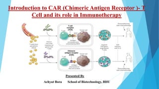 Introduction to CAR (Chimeric Antigen Receptor )- T
Cell and its role in Immunotherapy
Achyut Bora School of Biotechnology, BHU
Presented By
 