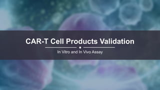 CAR-T Cell Products Validation
In Vitro and In Vivo Assay
 