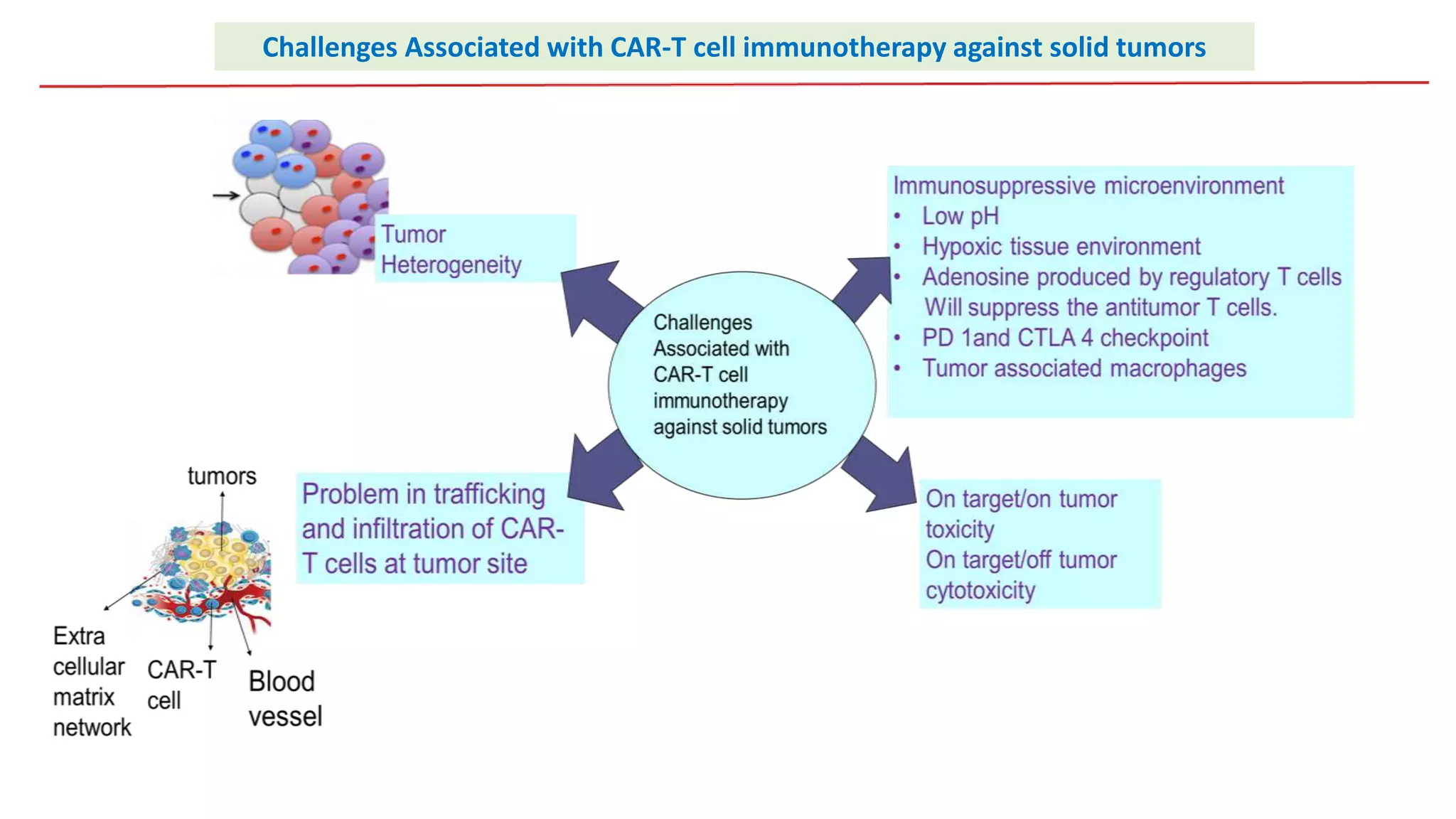 CAR-T cell immunotherapy for solid tumors | PPTX