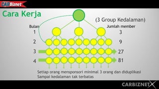 CARBIZNET
Cara Kerja
(3 Group Kedalaman)
1
2
3
4
3
9
27
81
Setiap orang mensponsori minimal 3 orang dan diduplikasi
Sampai kedalaman tak terbatas
Bulan Jumlah member
 