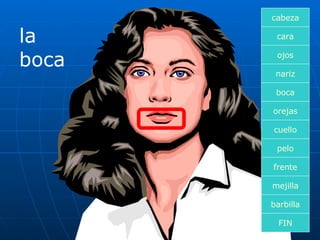 la boca cara boca nariz orejas cuello pelo frente mejilla ojos FIN barbilla cabeza 