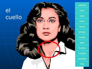 el cuello cara boca nariz orejas cuello pelo frente mejilla ojos FIN barbilla cabeza 