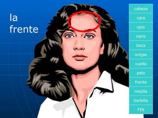 la frente cara boca nariz orejas cuello pelo frente mejilla ojos FIN barbilla cabeza 