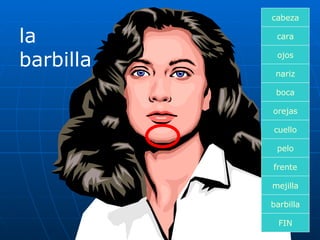 la barbilla cara boca nariz orejas cuello pelo frente mejilla ojos FIN barbilla cabeza 