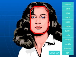 cara boca nariz orejas cuello pelo frente mejilla ojos FIN barbilla cabeza ¿Qué es? 