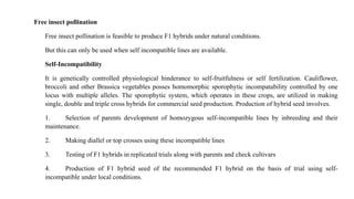 Incompatible Development Cauliflower Seed Production Technology | PPTX