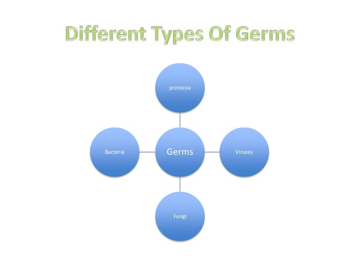 germs 2 different types
