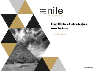 Big Data et stratégies
marketing
CARA Valence
6 mars 2014
 