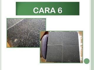 CARA 6
 