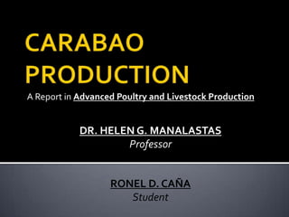 A Report in Advanced Poultry and Livestock Production


            DR. HELEN G. MANALASTAS
                    Professor


                   RONEL D. CAÑA
                      Student
 