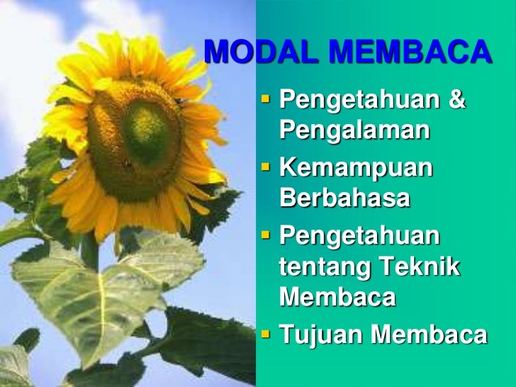 Viral Pertanyaan Tentang Keindahan, Viral!