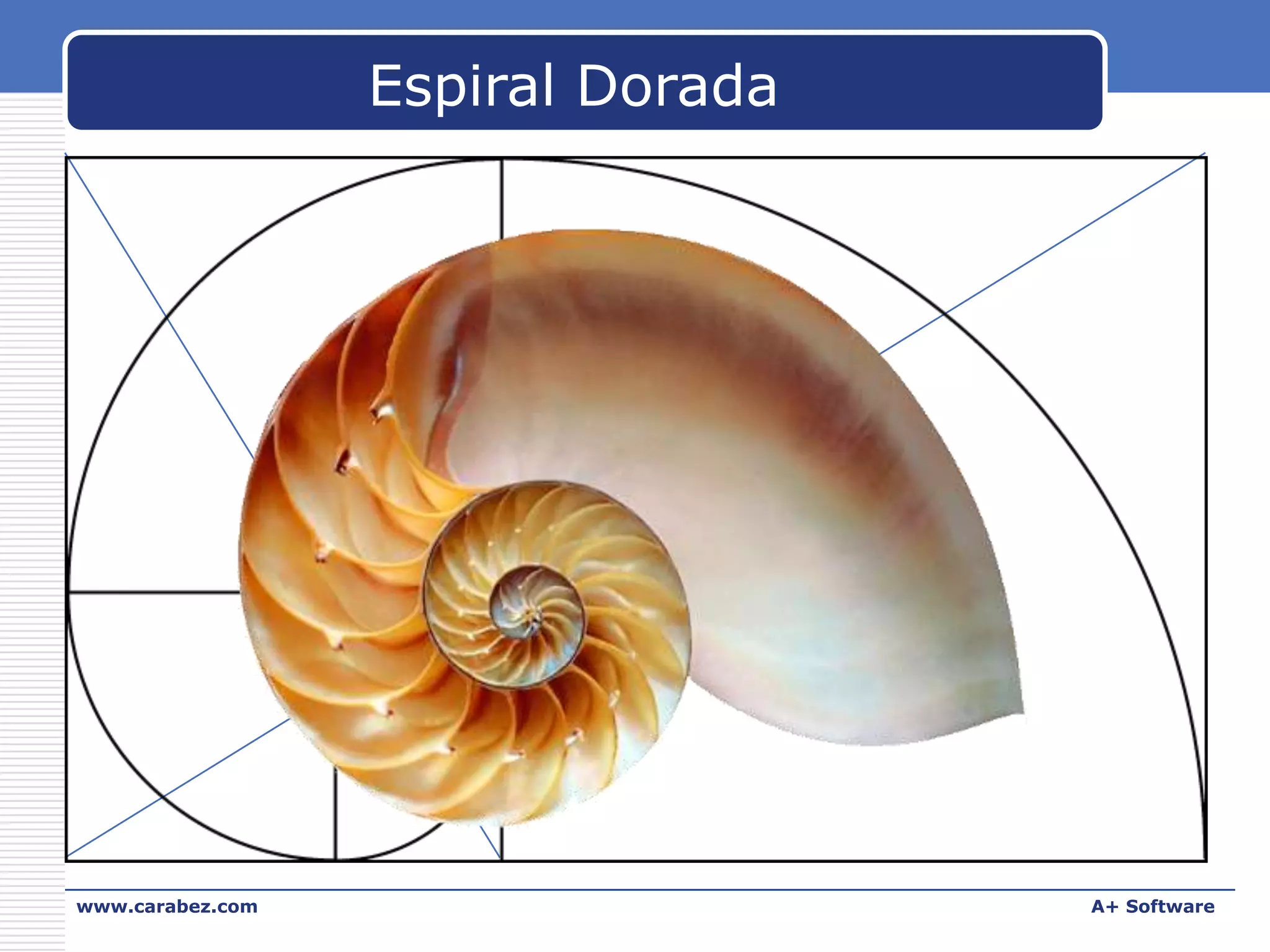 Espiral Dorada

www.carabez.com

A+ Software

 