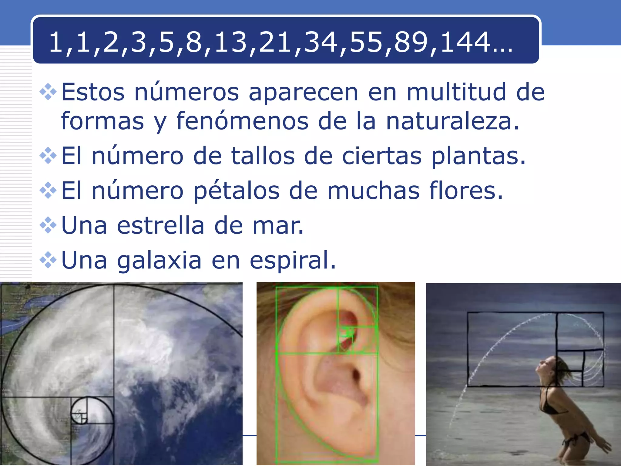 1,1,2,3,5,8,13,21,34,55,89,144…
Estos números aparecen en multitud de
formas y fenómenos de la naturaleza.
El número de tallos de ciertas plantas.
El número pétalos de muchas flores.
Una estrella de mar.
Una galaxia en espiral.

www.carabez.com

A+ Software

 