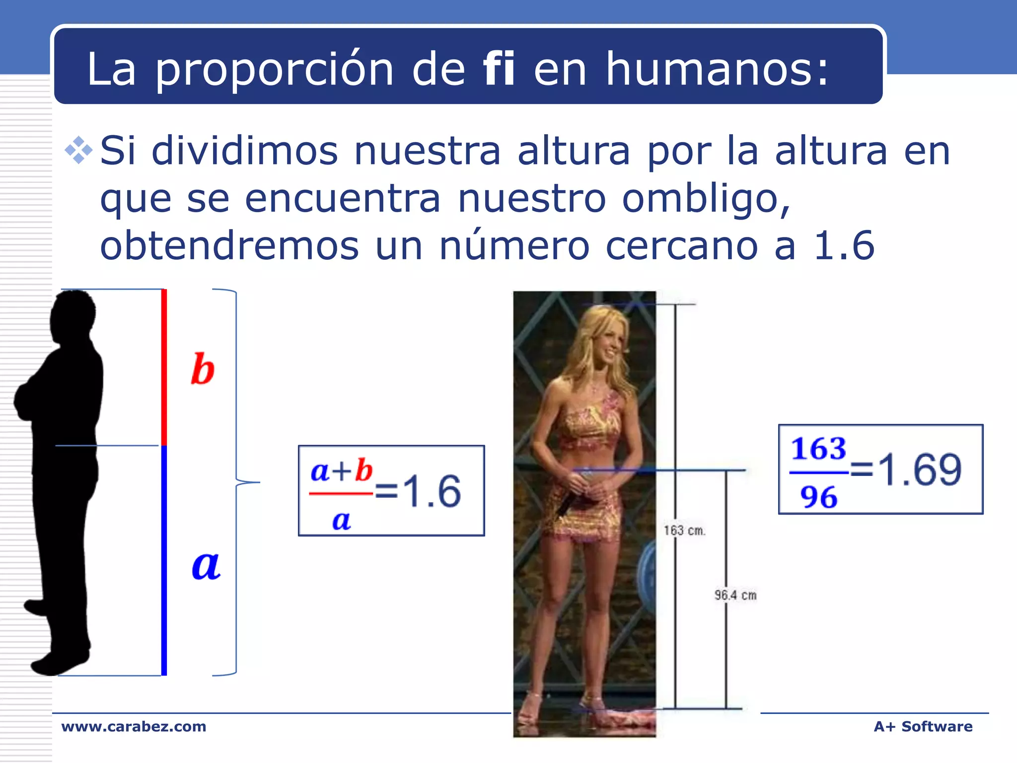 La proporción de fi en humanos:
Si dividimos nuestra altura por la altura en
que se encuentra nuestro ombligo,
obtendremos un número cercano a 1.6

www.carabez.com

A+ Software

 