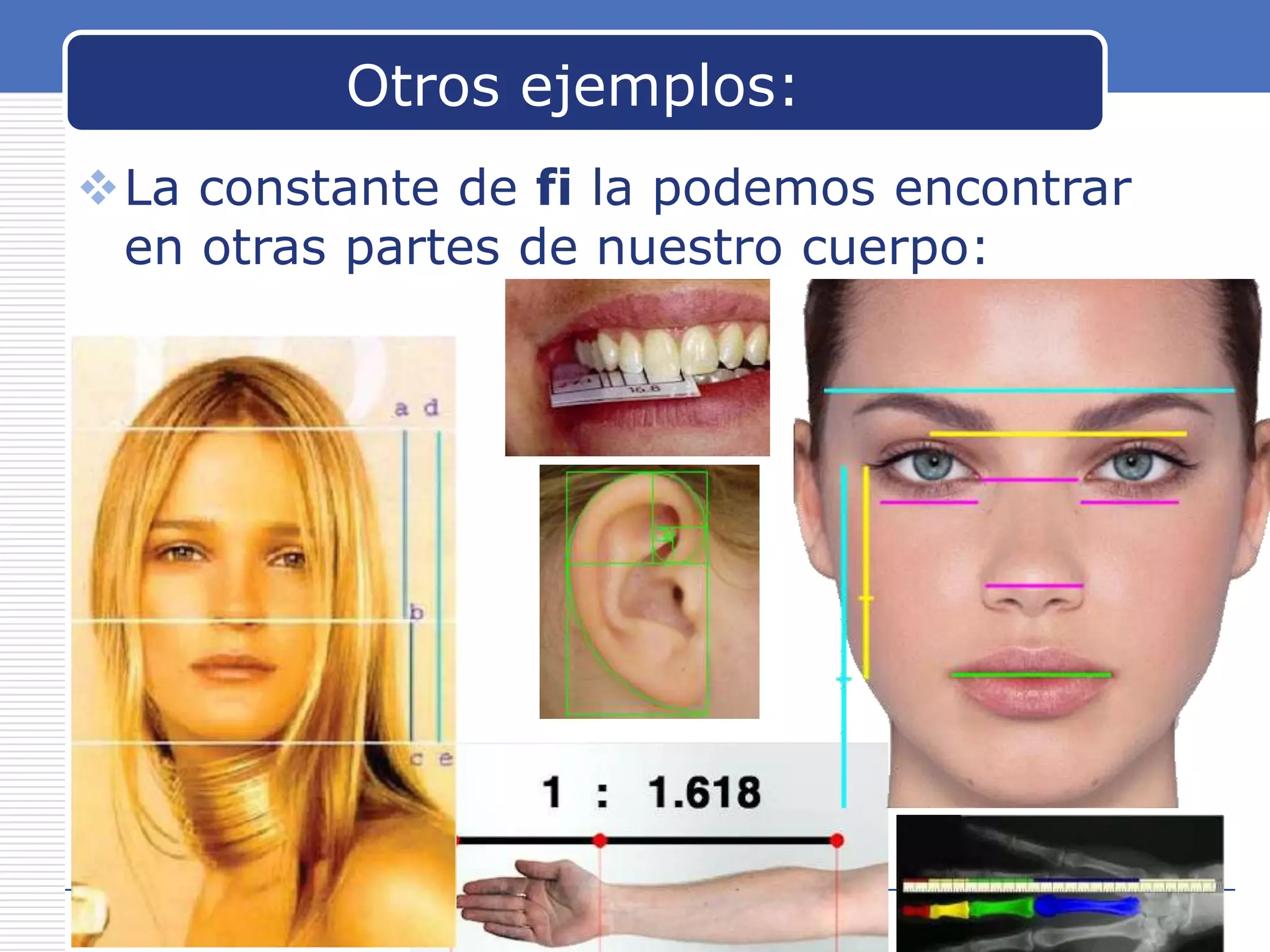 Otros ejemplos:
La constante de fi la podemos encontrar
en otras partes de nuestro cuerpo:

www.carabez.com

A+ Software

 