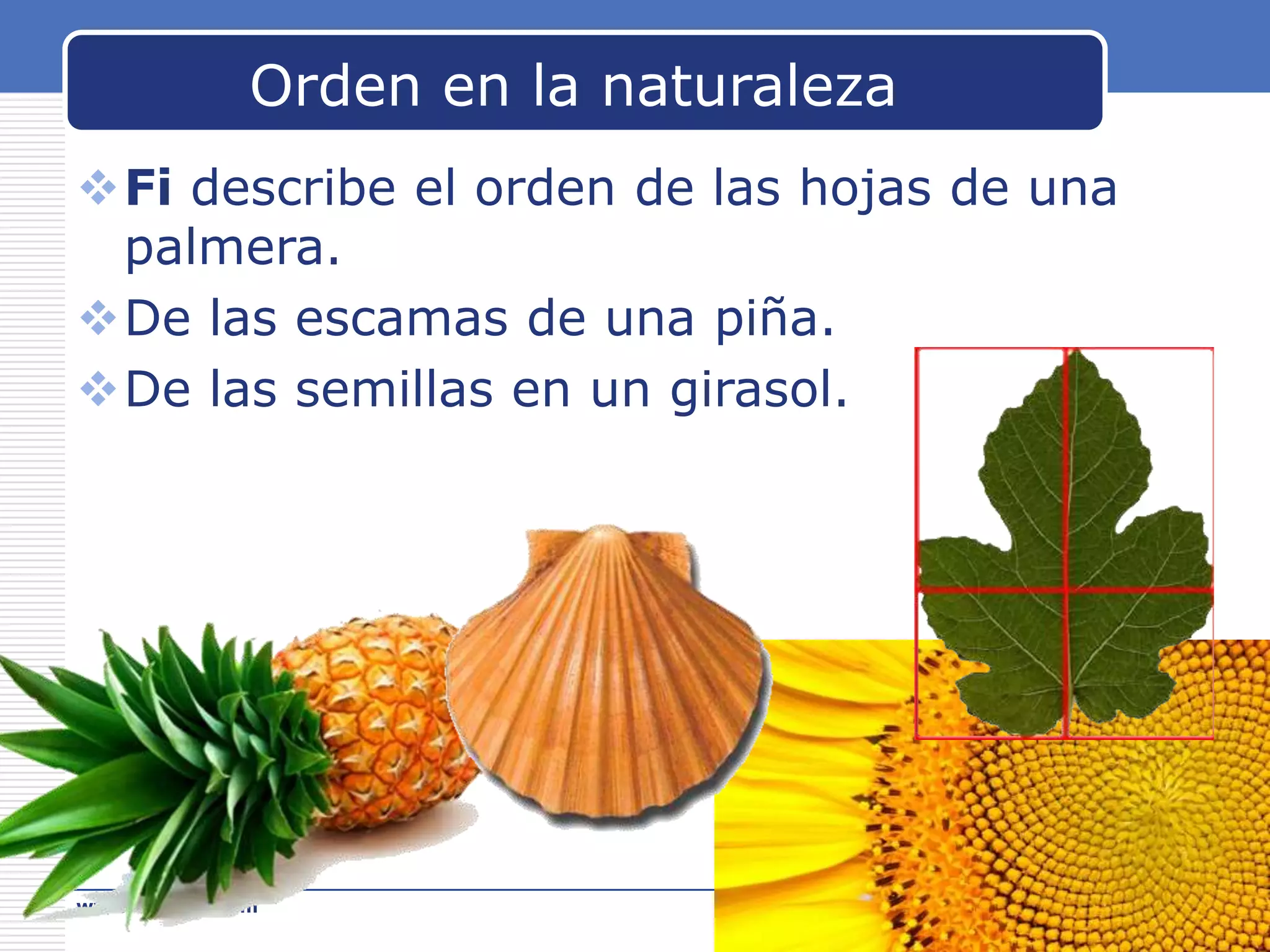 Orden en la naturaleza
Fi describe el orden de las hojas de una
palmera.
De las escamas de una piña.
De las semillas en un girasol.

www.carabez.com

A+ Software

 