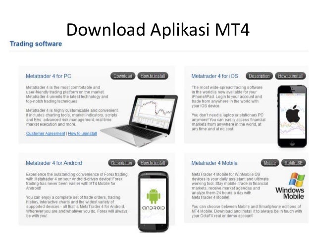 Octa forex mt4 download