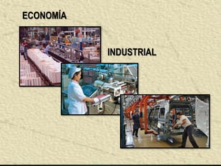 ECONOMÍA


           INDUSTRIAL
 