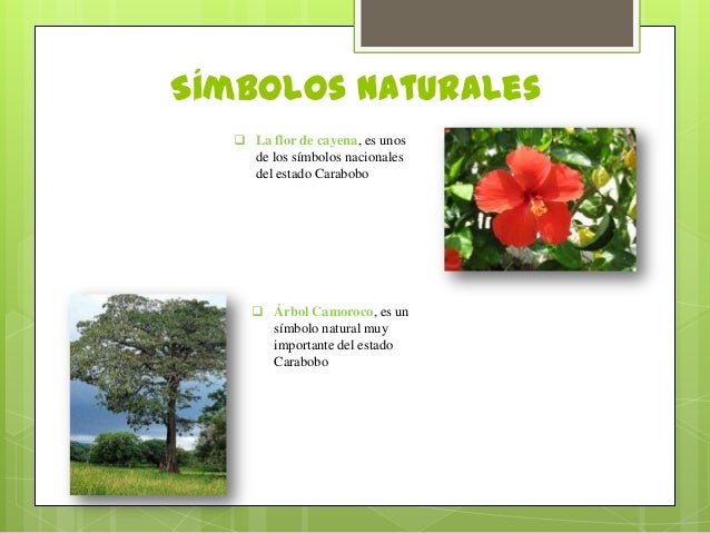 los simbolos naturales de españa los simbolos naturales de españa
