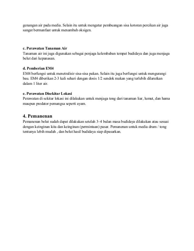 Cara budidaya belut dalam tong