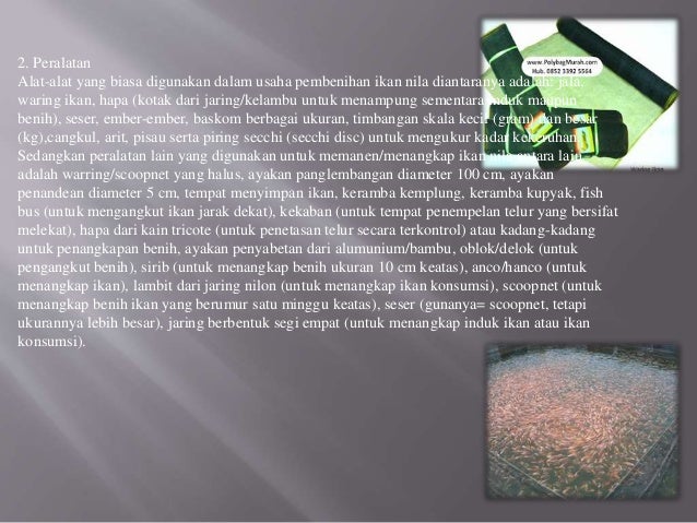 Cara budidaya ikan nila dengan menggunakan waring ikan