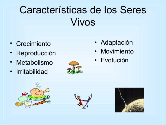 Caracteristicas De Los Seres Vivos