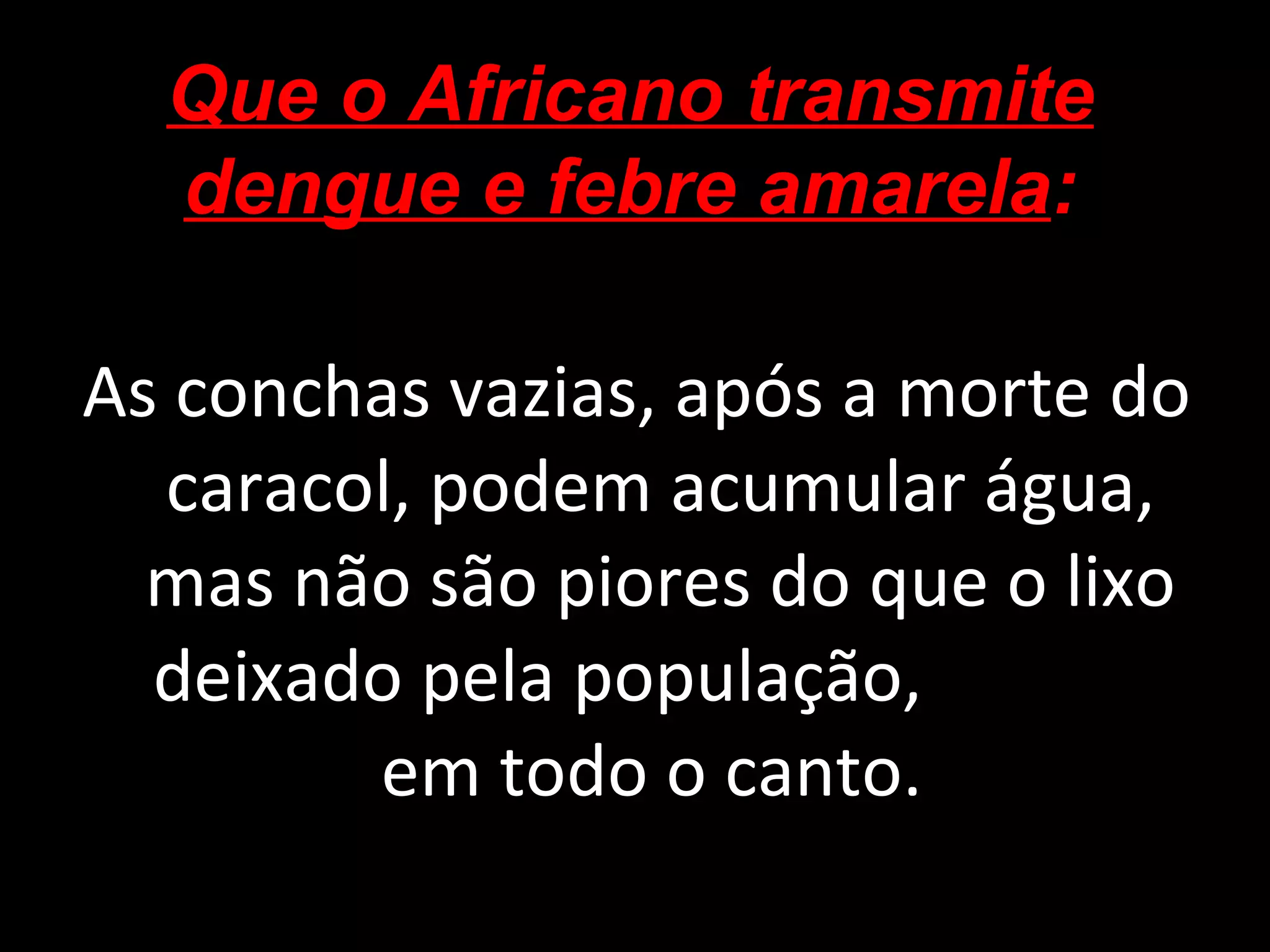 As conchas vazias, após a morte do caracol, podem acumular água, mas não são piores do que o lixo deixado pela população,  em todo o canto.  Que o Africano transmite dengue e febre amarela : 