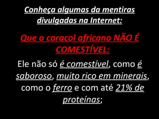 Conheça algumas da mentiras divulgadas na Internet: Que o caracol africano NÃO É COMESTÍVEL: Ele não só  é comestível , como  é saboroso ,  muito rico em minerais , como o  ferro   e com até  21% de proteínas ; 